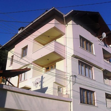 Vitosha Guest House Dewin Exterior foto